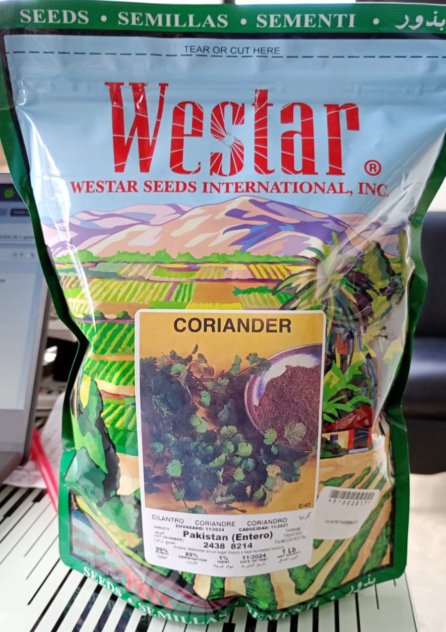 Cilantro Westar 1 Lb