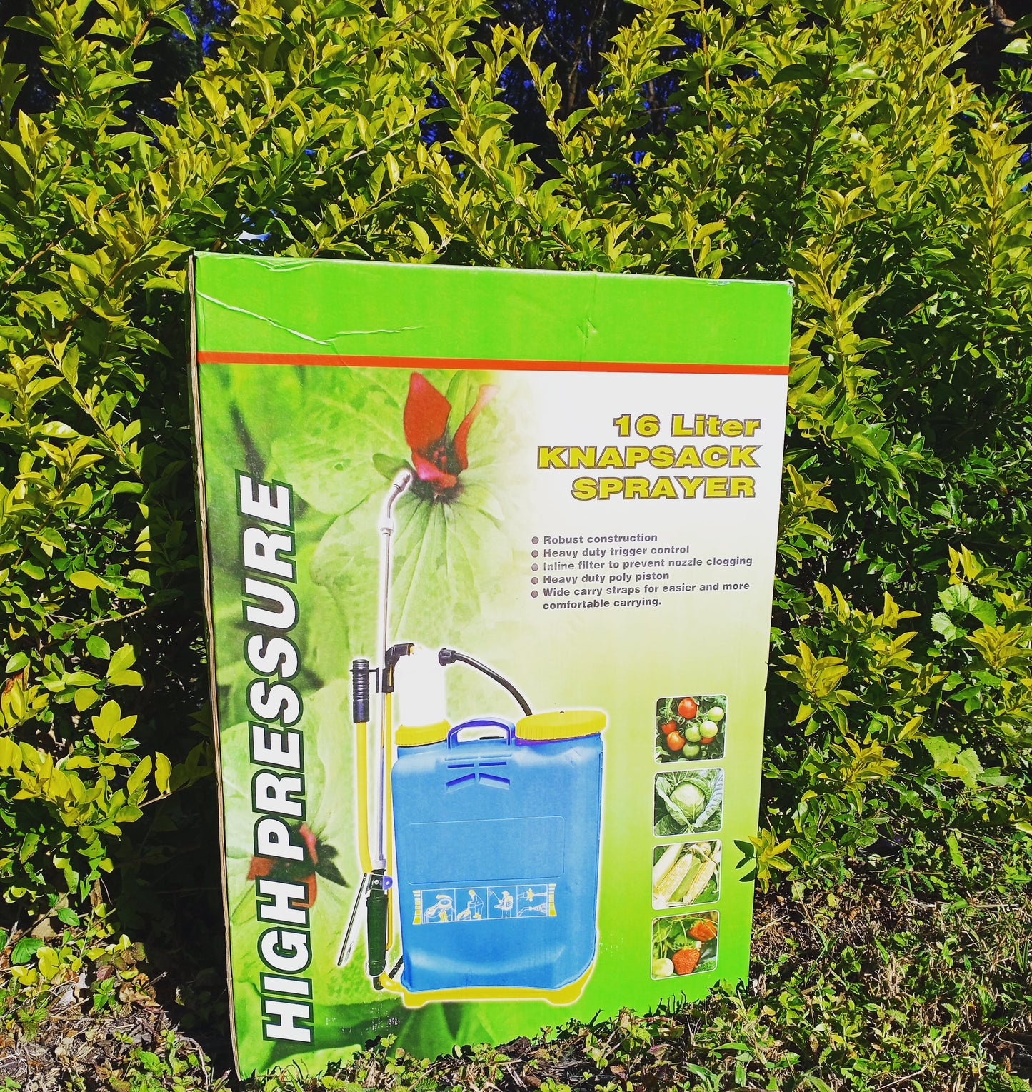 Bomba de Fumigación 16 LT