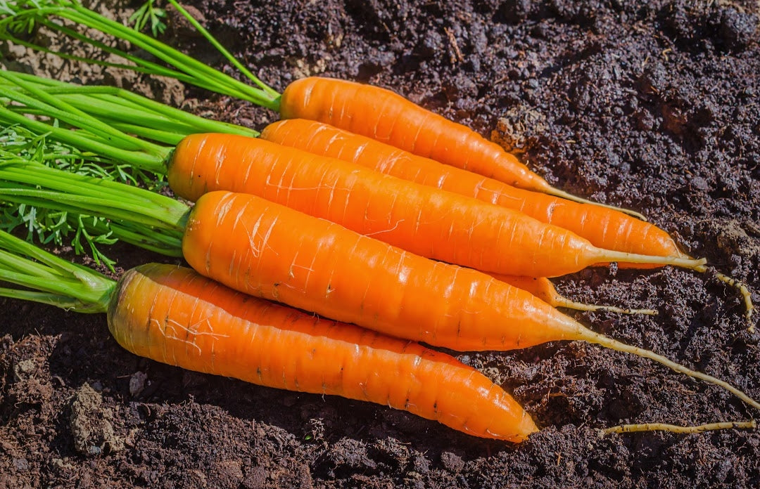Fertilizante Orgánico Foliar para Crecimiento y Desarrollo Vegetativo de Huertos