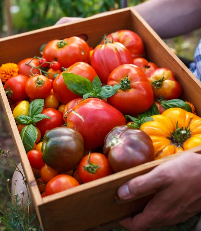 Fertilizante Orgánico Foliar para Floración y Fructificación de Huertos