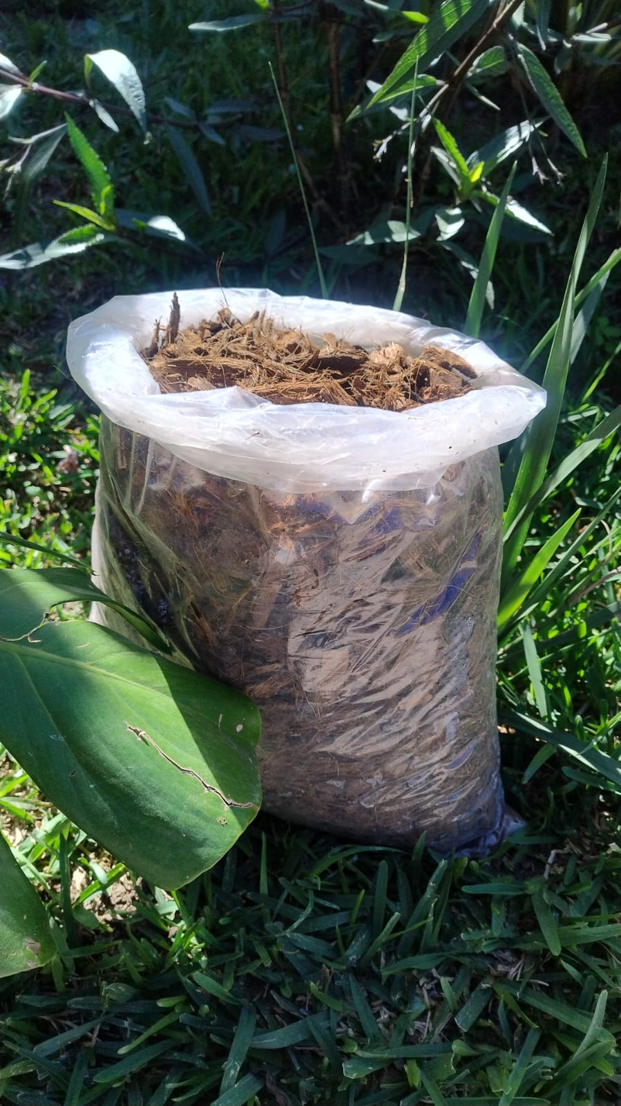 Sustrato Fibra de Coco por Libra Diferentes Presentaciones