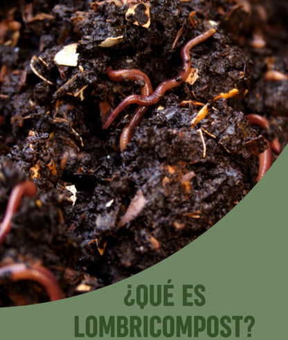 Lombricompost Agroterra Humus de Lombriz Orgánico 100 lb Guatemala