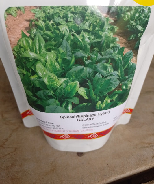 Semilla de Espinaca Galaxi F1 1 LB Marca Corona