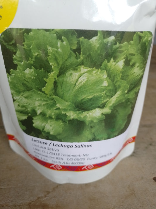 Semilla Lechuga Salinas Bola 1 LB Marca Corona