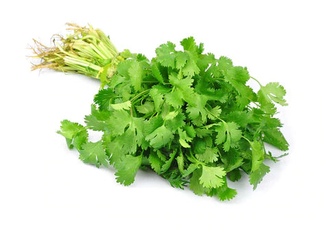 Cilantro Orgánico Manojo